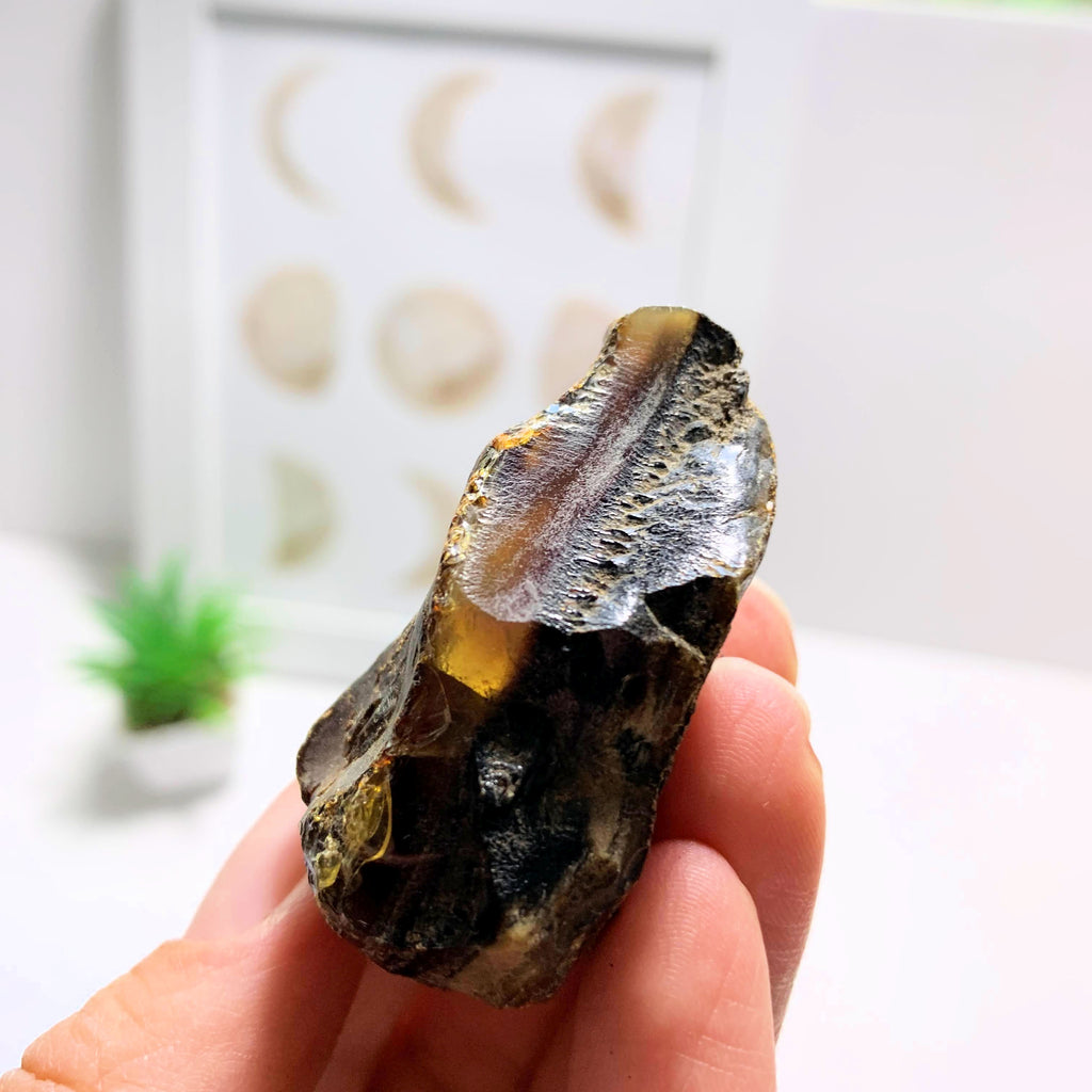 Raw Blue & Golden Sumatra Amber Natural Specimen #2 - Earth Family Crystals