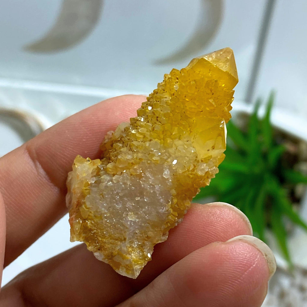 Reserved for Sandy S Natural Citrine Spirit Quartz Point~ Locality: S.Africa #3 - Earth Family Crystals