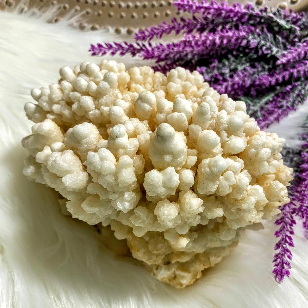 Incredible & Unusual XL Peach Calcite Flower Display Specimen - Earth Family Crystals