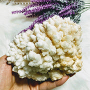 Incredible & Unusual XL Peach Calcite Flower Display Specimen - Earth Family Crystals