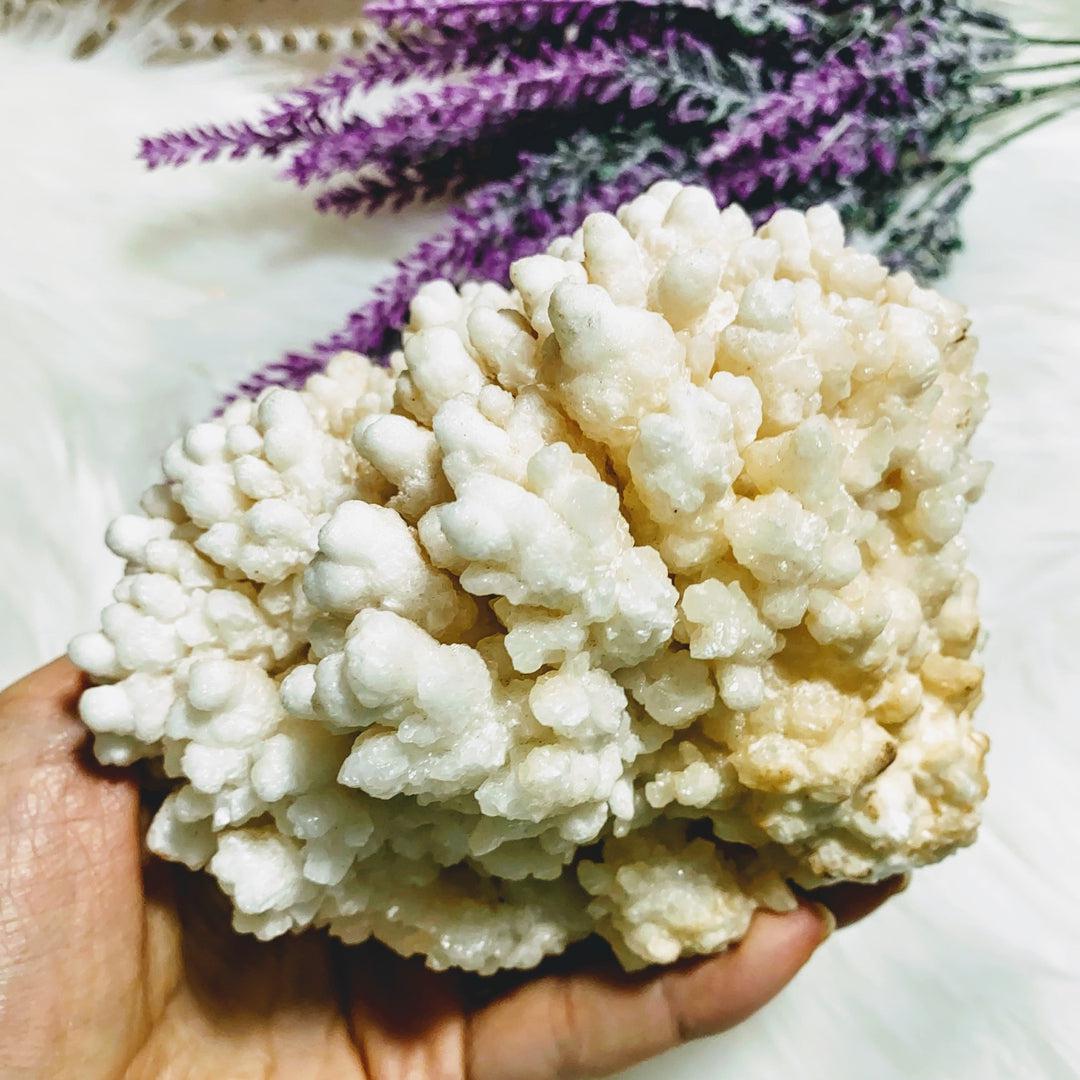Incredible & Unusual XL Peach Calcite Flower Display Specimen - Earth Family Crystals