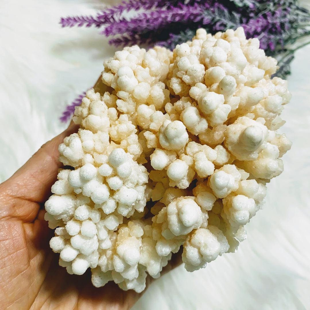 Incredible & Unusual XL Peach Calcite Flower Display Specimen - Earth Family Crystals