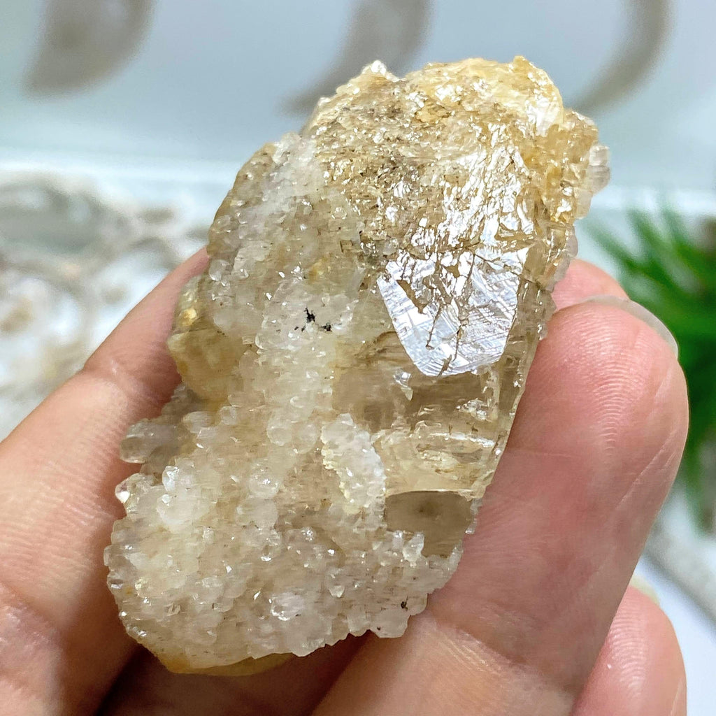 Unpolished Natural Danburite Point with Crusted Quartz Drusy From Mexico - Earth Family Crystals