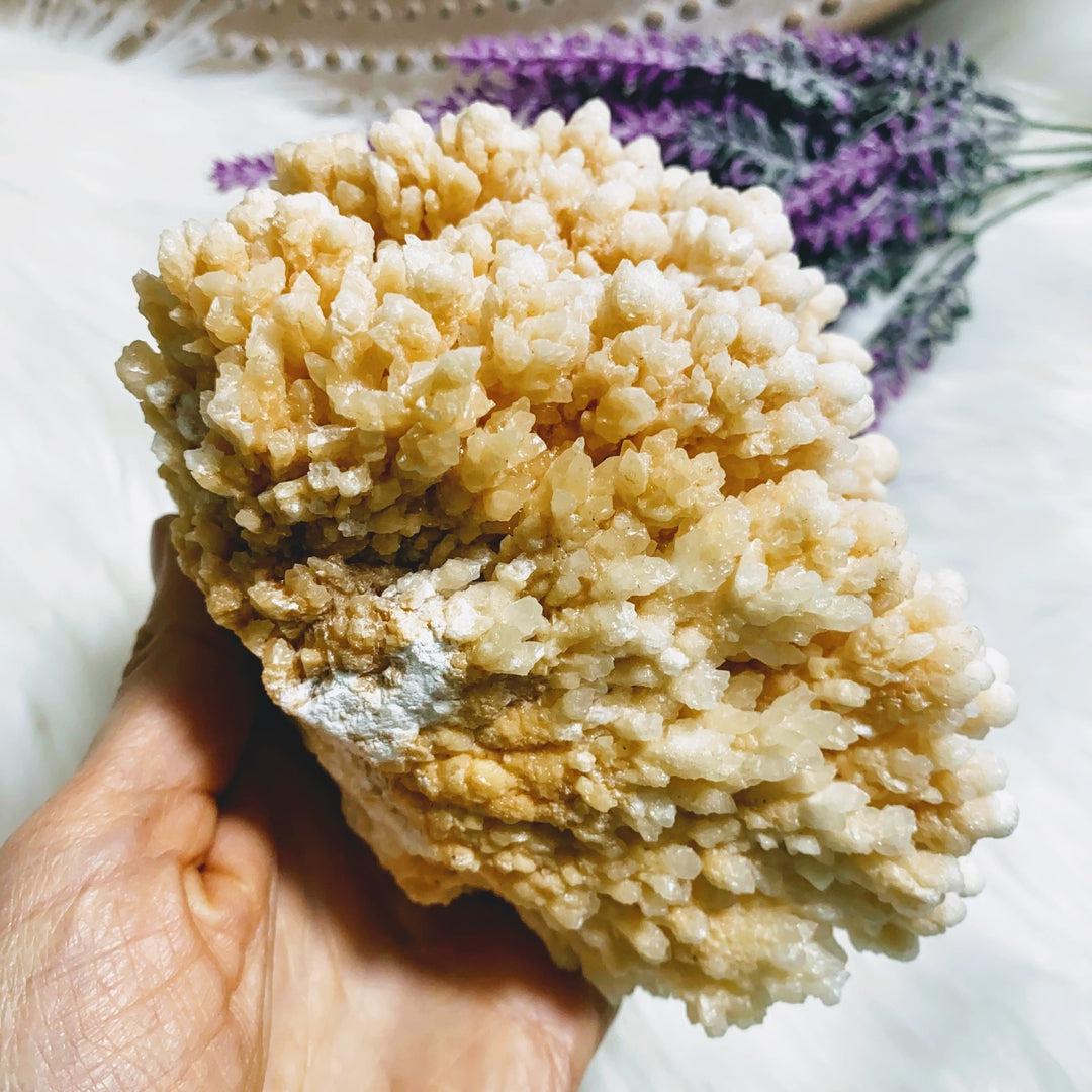 Incredible & Unusual XL Peach Calcite Flower Display Specimen - Earth Family Crystals