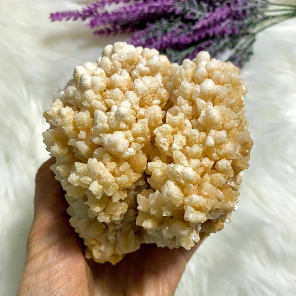 Incredible & Unusual XL Peach Calcite Flower Display Specimen - Earth Family Crystals