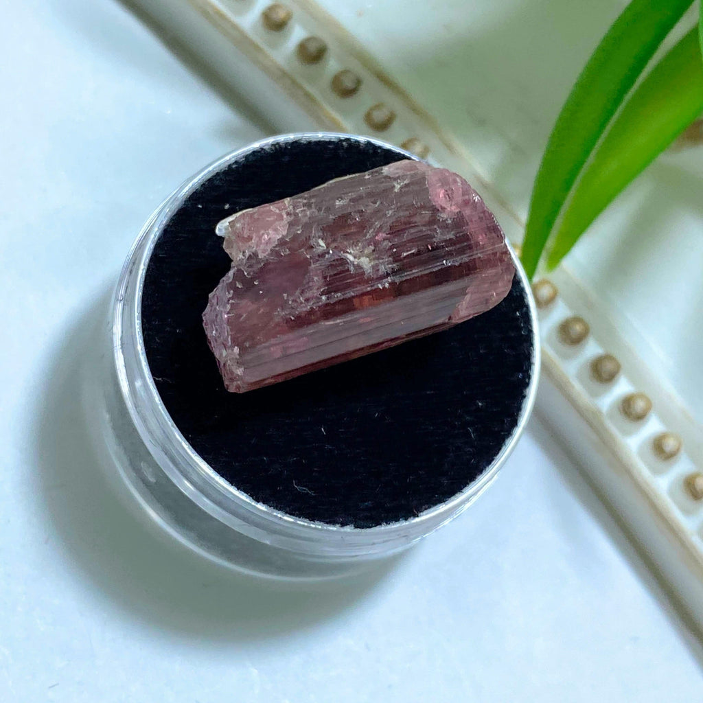 Rare Find! 19ct Lipstick Pink Tourmaline Natural Point in Collectors Box from Oceanside Mine, California - Earth Family Crystals