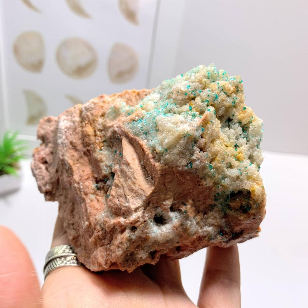 Dioptase Crystals Nestled in Chunky Quartz & Rock Matrix~Locality Namibia - Earth Family Crystals