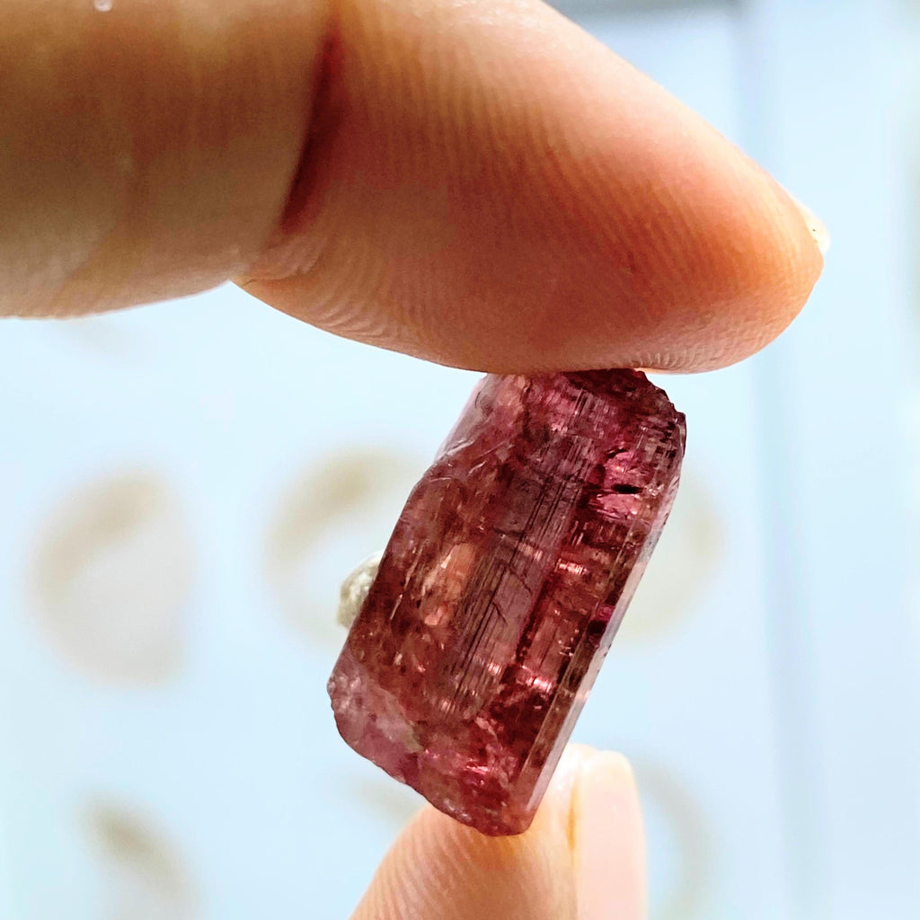 Rare Find! 19ct Lipstick Pink Tourmaline Natural Point in Collectors Box from Oceanside Mine, California - Earth Family Crystals
