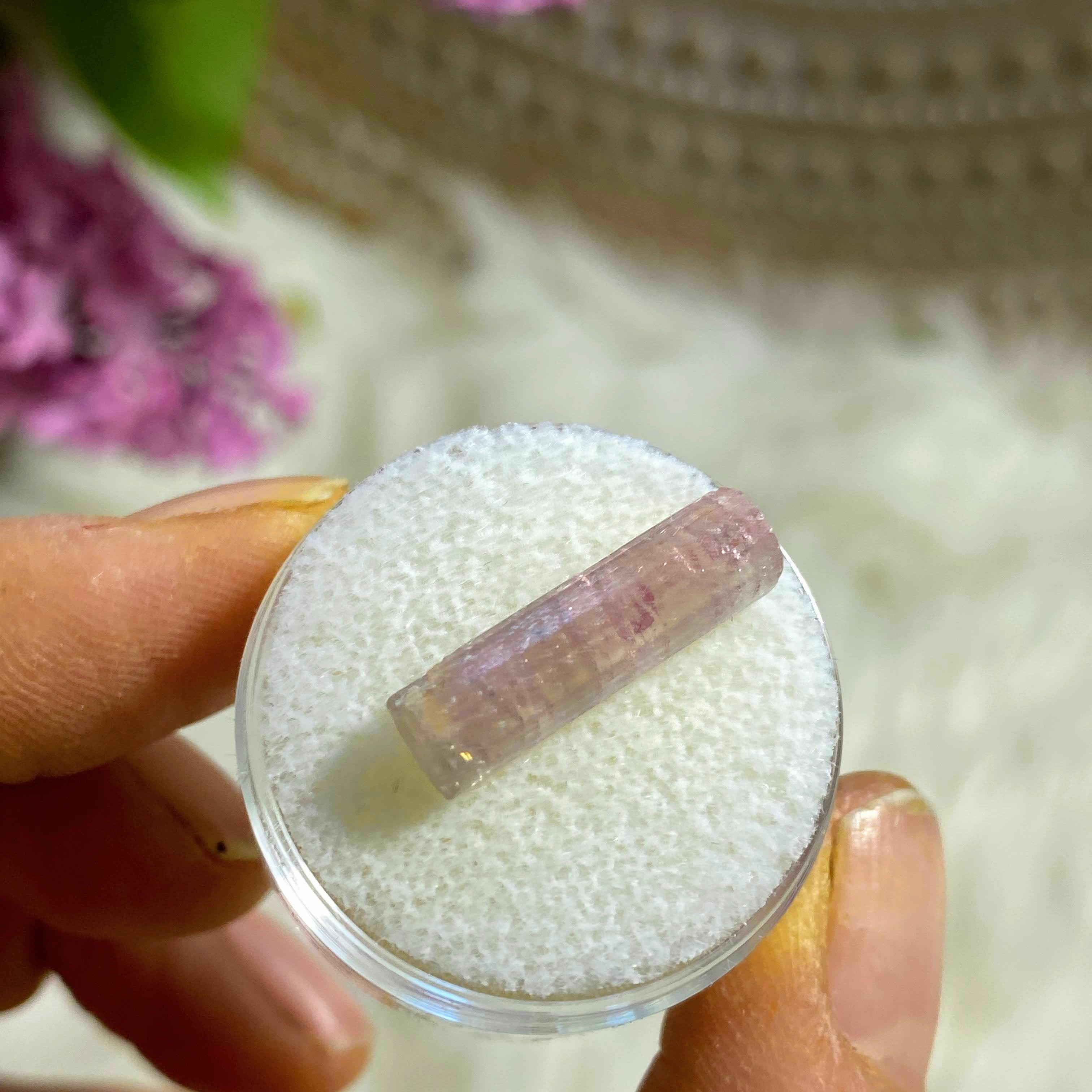 Rare California Find! 5.5ct Lipstick Pink Tourmaline Natural Point in Collectors Box from Oceanside Mine - Earth Family Crystals
