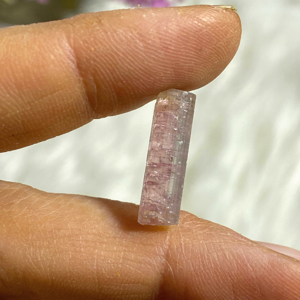 Rare California Find! 5.5ct Lipstick Pink Tourmaline Natural Point in Collectors Box from Oceanside Mine - Earth Family Crystals