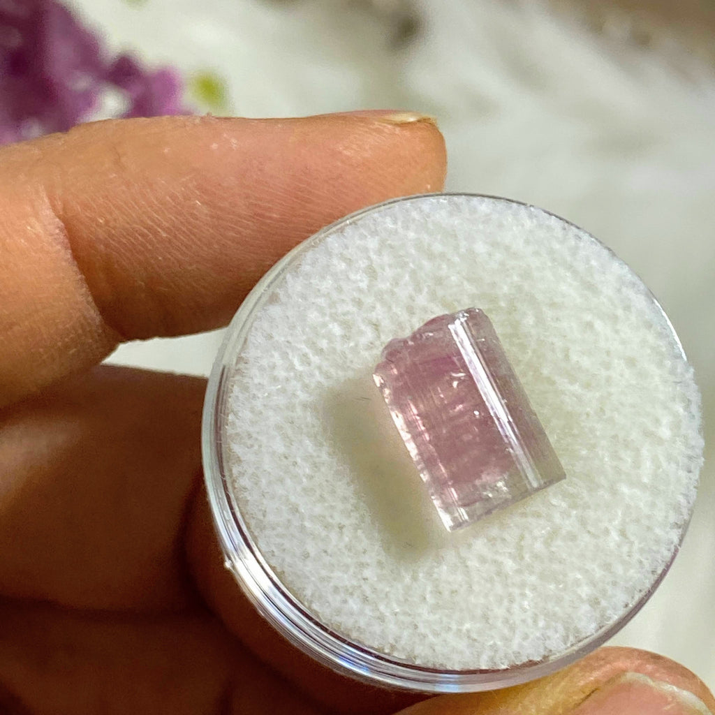 Rare California Find! 5.5ct Lipstick Pink Tourmaline Natural Point in Collectors Box from Oceanside Mine #1 - Earth Family Crystals