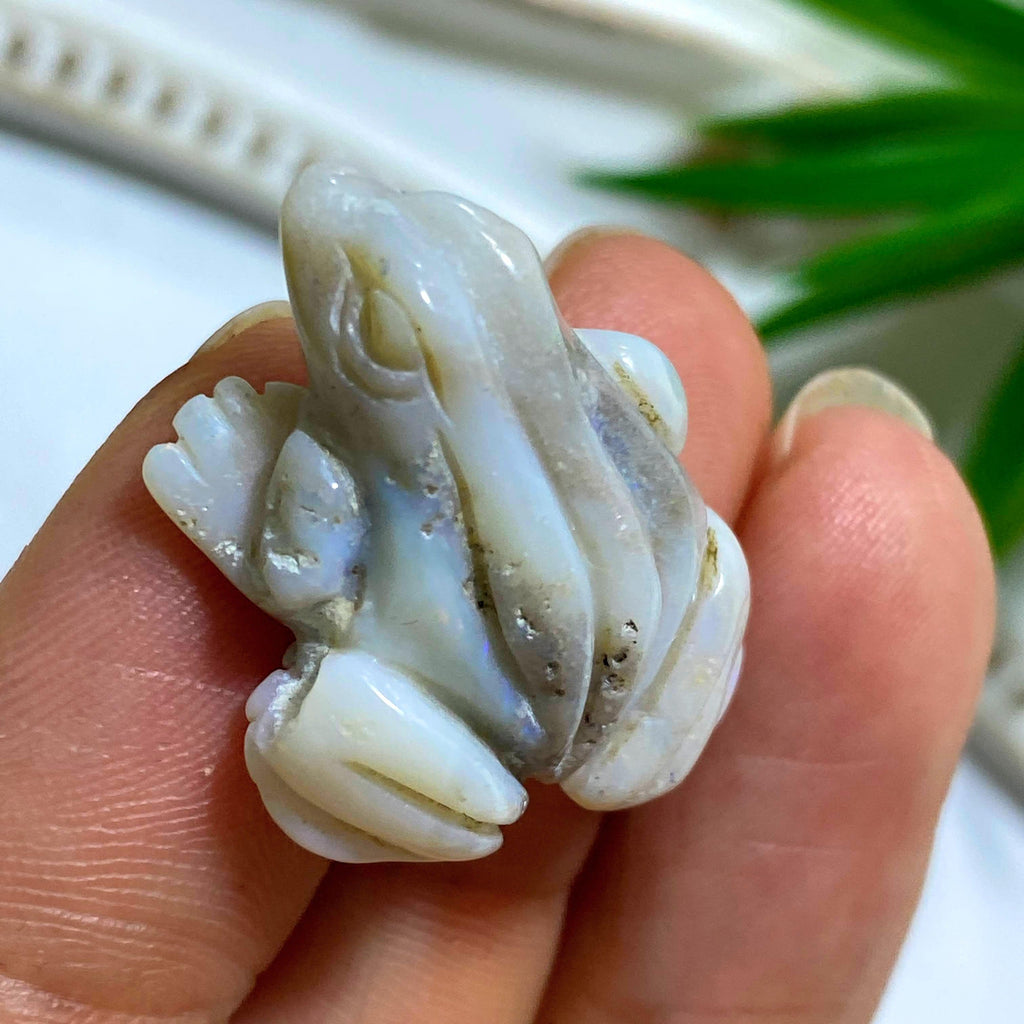 Rare Australian Opal Frog Partially Polished Carving - Earth Family Crystals