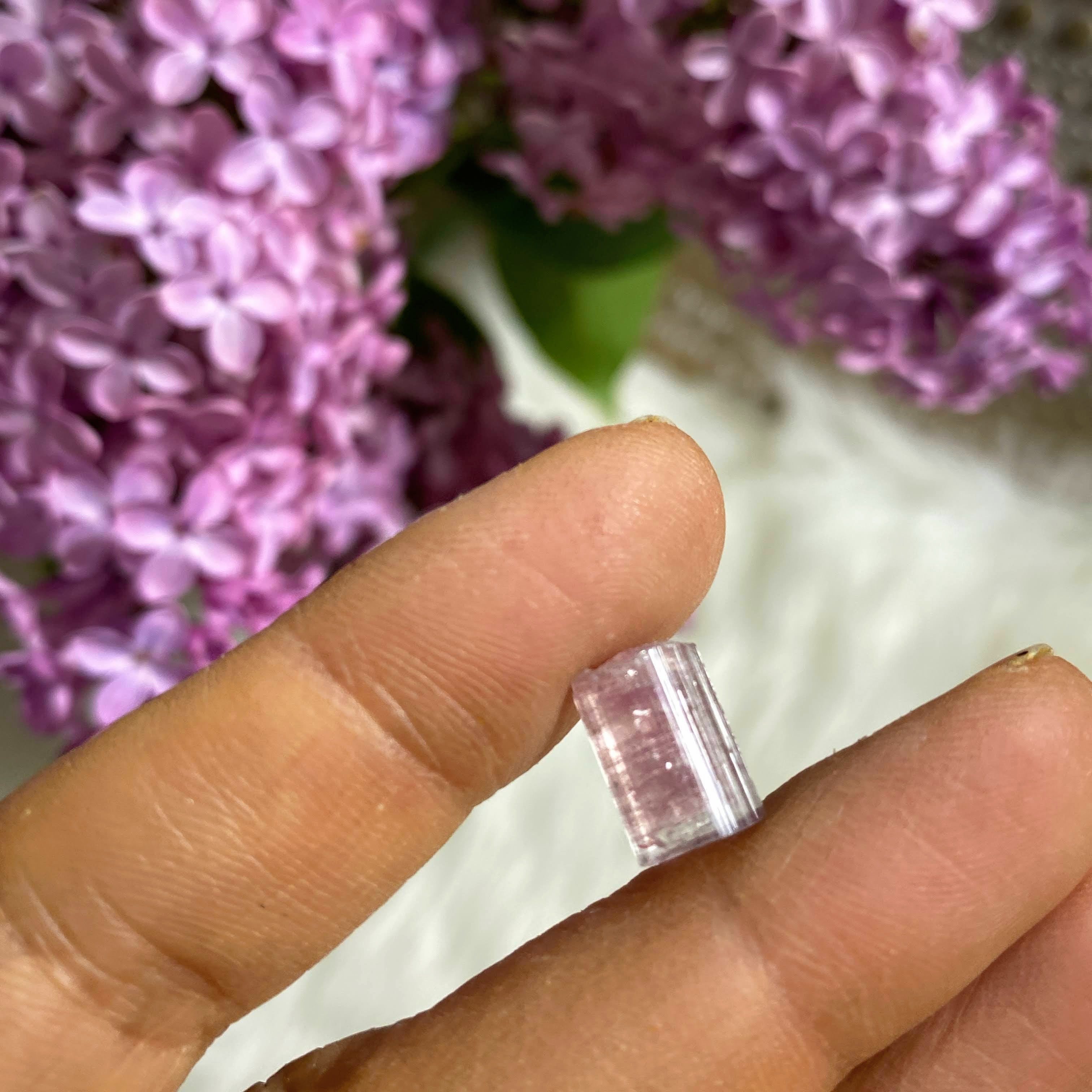 Rare California Find! 5.5ct Lipstick Pink Tourmaline Natural Point in Collectors Box from Oceanside Mine #1 - Earth Family Crystals