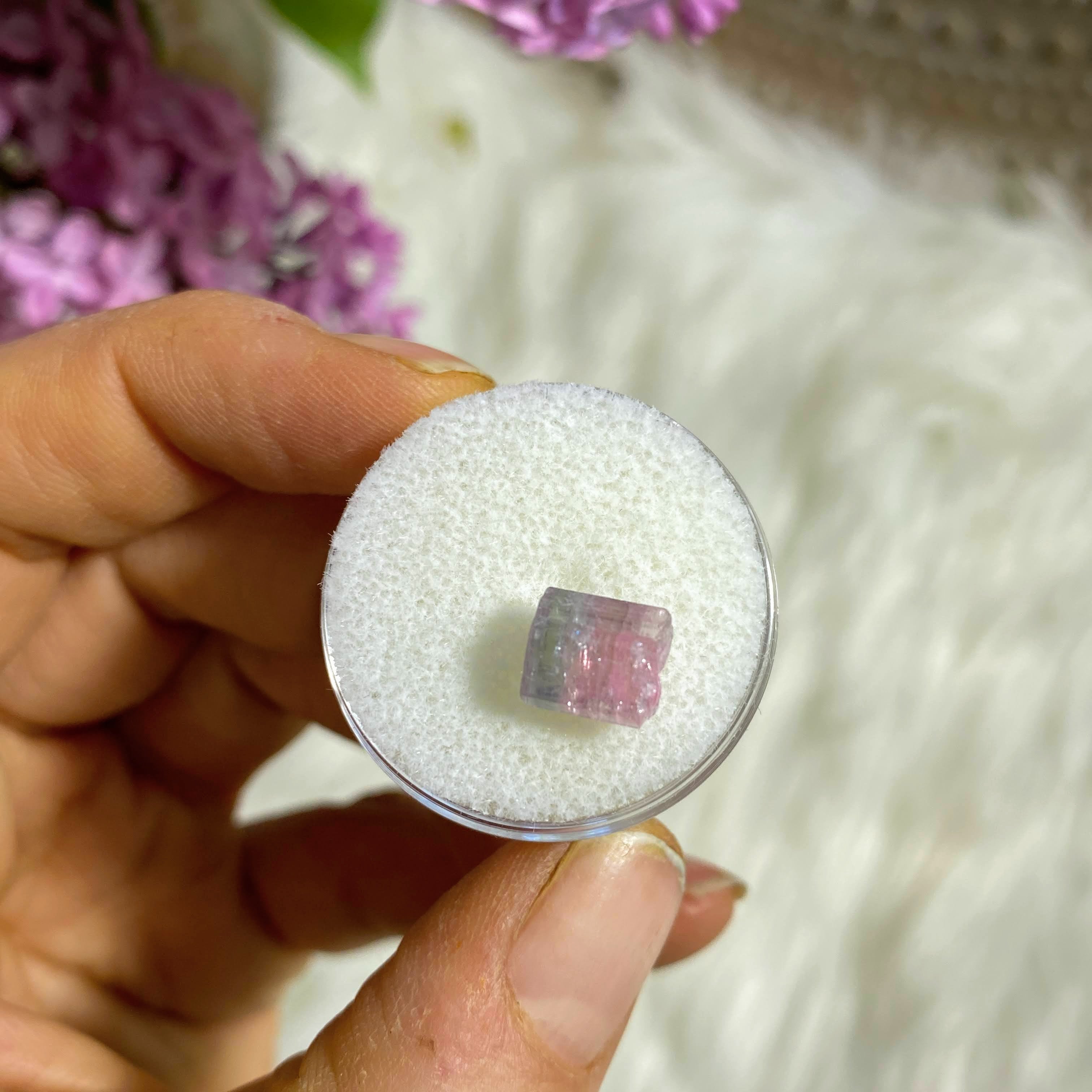 Rare California Find! 3.5ct Pink & Blue Tourmaline Natural Point in Collectors Box from Oceanside Mine #1 - Earth Family Crystals