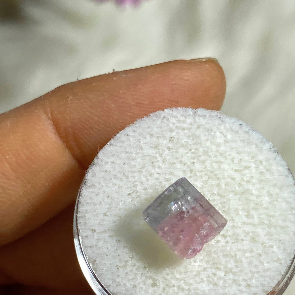 Rare California Find! 3.5ct Pink & Blue Tourmaline Natural Point in Collectors Box from Oceanside Mine #1 - Earth Family Crystals