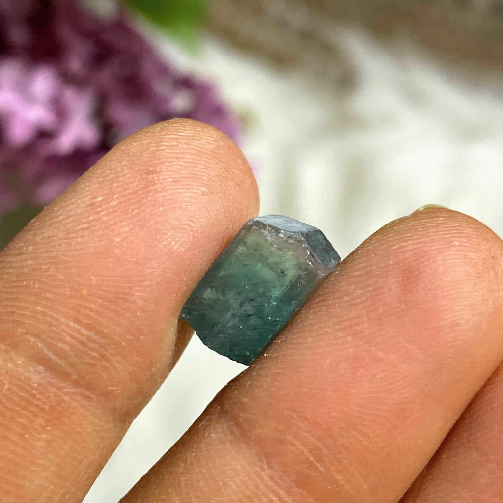Rare California Find! 7CT Indicolite Blue Tourmaline Terminated Point ~Locality: Oceanside, California - Earth Family Crystals