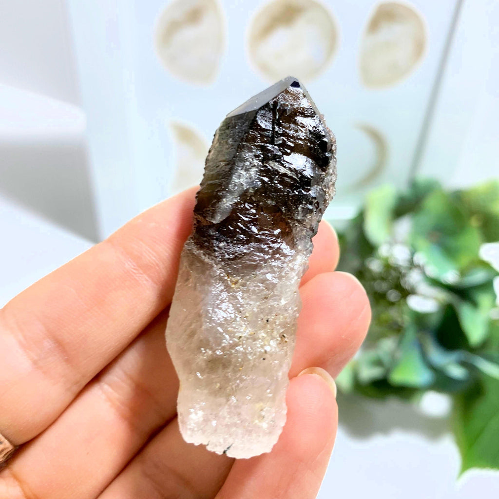 Earth Etched~ Natural Smoky Quartz Point ~Locality: Malawi, Africa - Earth Family Crystals
