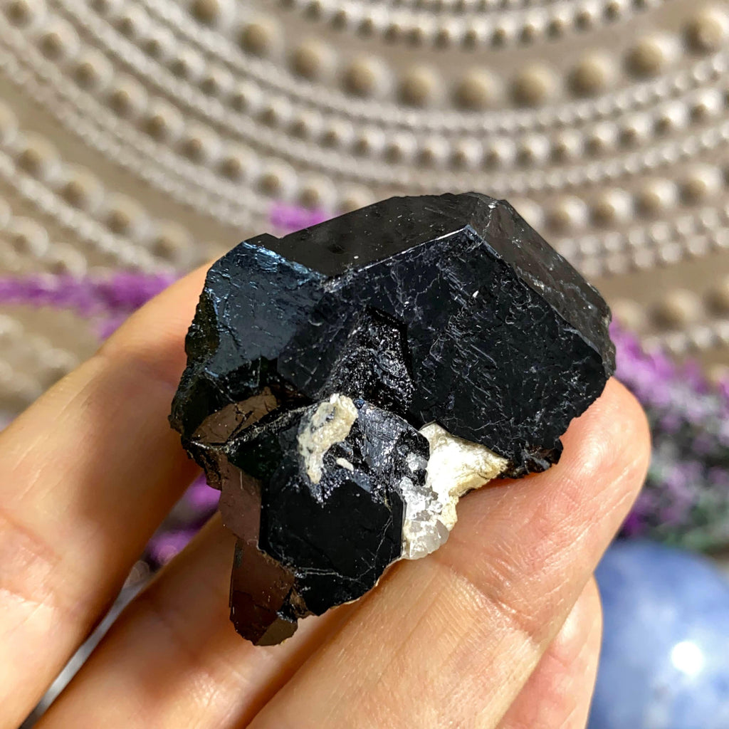 Rare Locale~ Shiny Jet Black Dravite Tourmaline (exUVITE) Crystal Collecotrs Specimen, Pierrepont NY - Earth Family Crystals