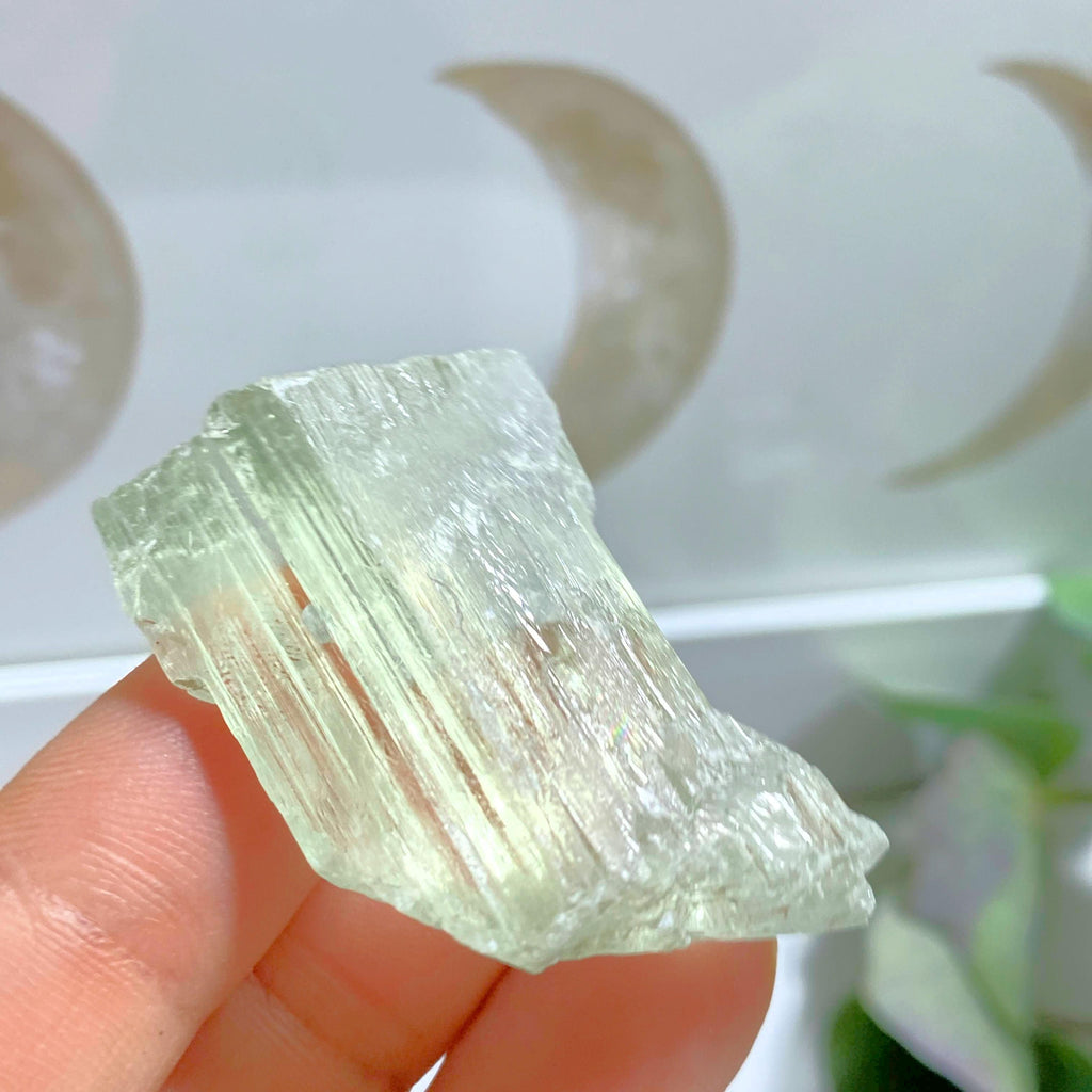 Elestial Mint Green Natural Hiddenite (Green Kunzite) Specimen #3 - Earth Family Crystals