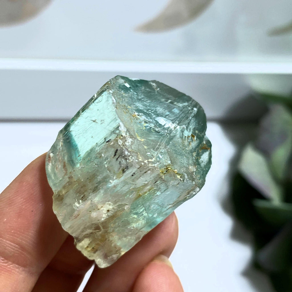 Unique Green Contrast Natural Hiddenite (Green Kunzite) Specimen #4 - Earth Family Crystals