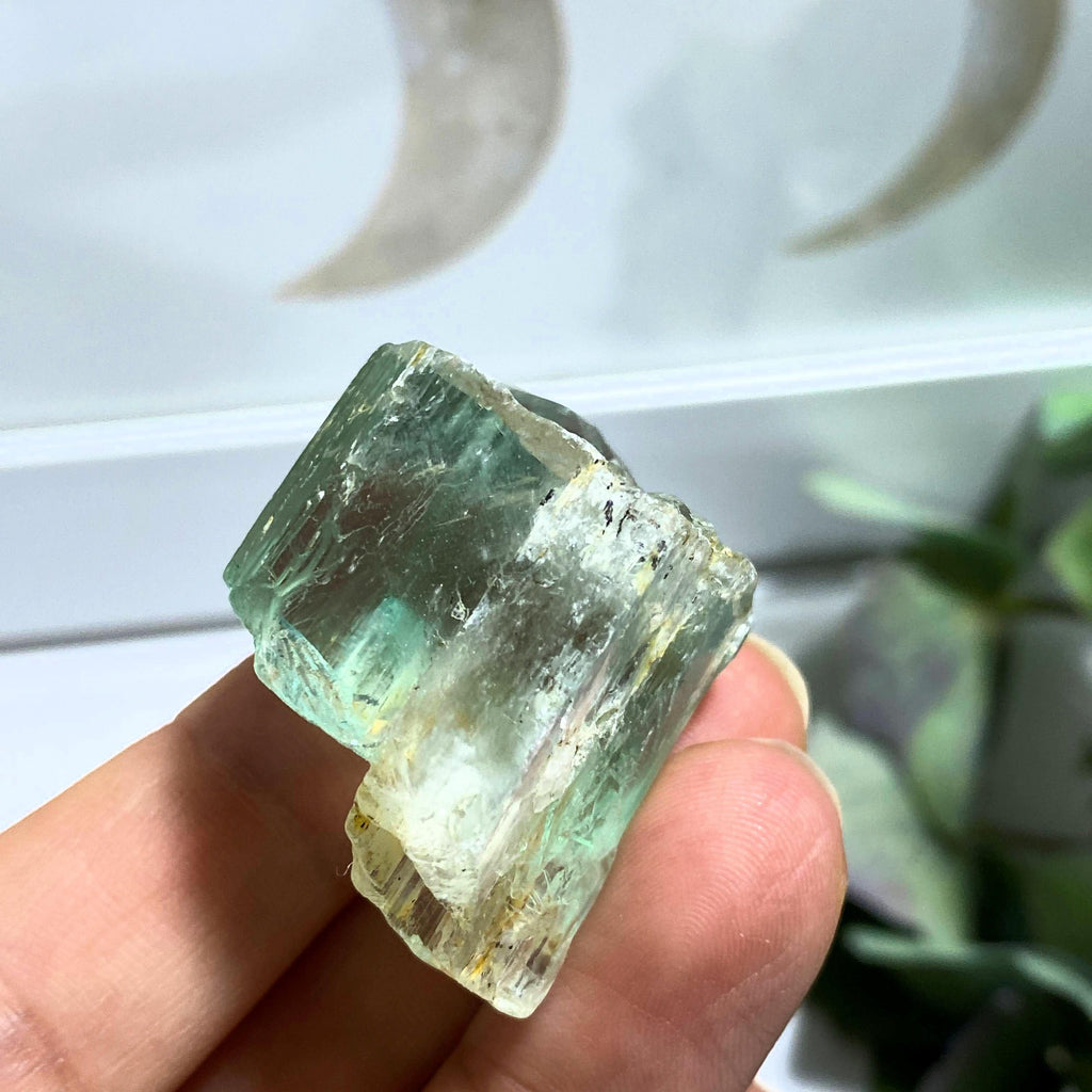 Unique Green Contrast Natural Hiddenite (Green Kunzite) Specimen #4 - Earth Family Crystals