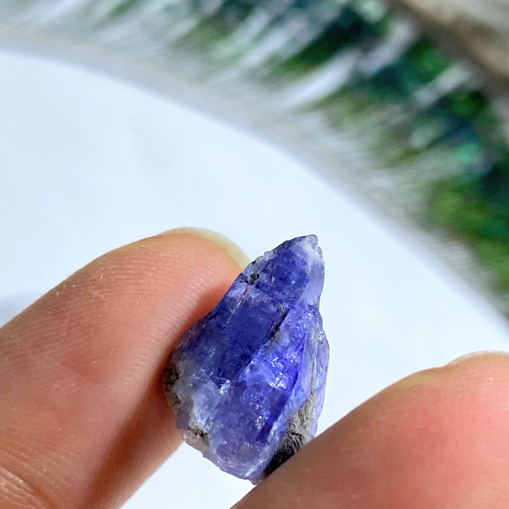 10 CT Terminated Gemmy Natural Tanzanite Specimen in Collectors Box - Earth Family Crystals