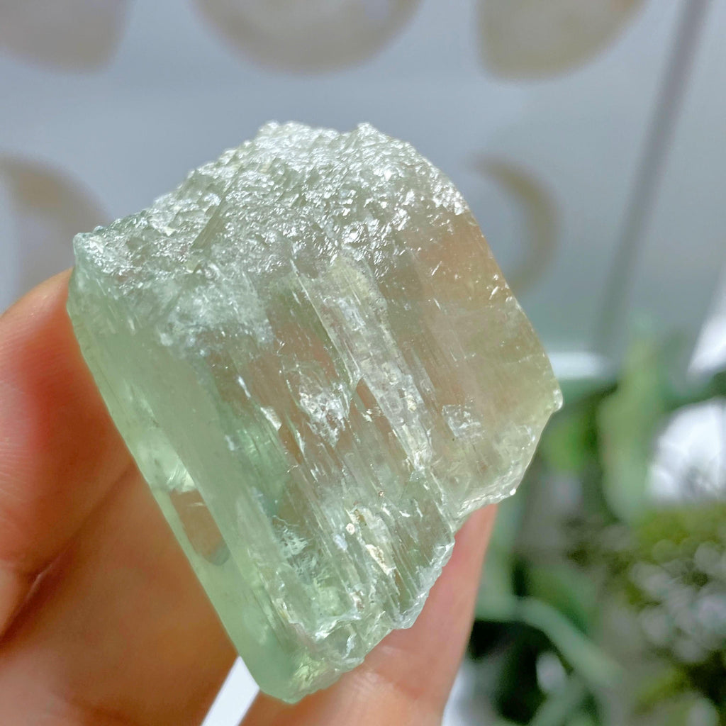 Chunky Self Healed Natural Hiddenite (Green Kunzite) Specimen #8 - Earth Family Crystals