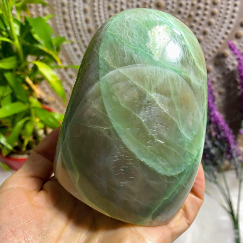 Incredible XL Frosty Green Garnierite Free Form Display Specimen~Perfect for Crystal Alters! - Earth Family Crystals