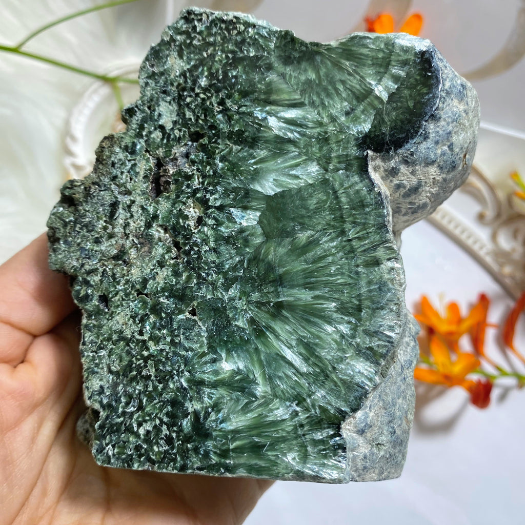 Reserved for Sandy S Rare! Silver Angel Wings Seraphinite Large Partially Polished Standing Display Specimen~ Locality: Russia - Earth Family Crystals