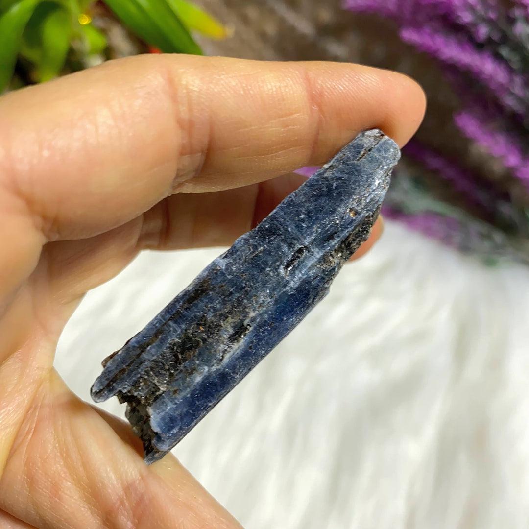 High Grade Gemmy Blue Kyanite Natural Point ~Locality Zimbabwe #2 - Earth Family Crystals