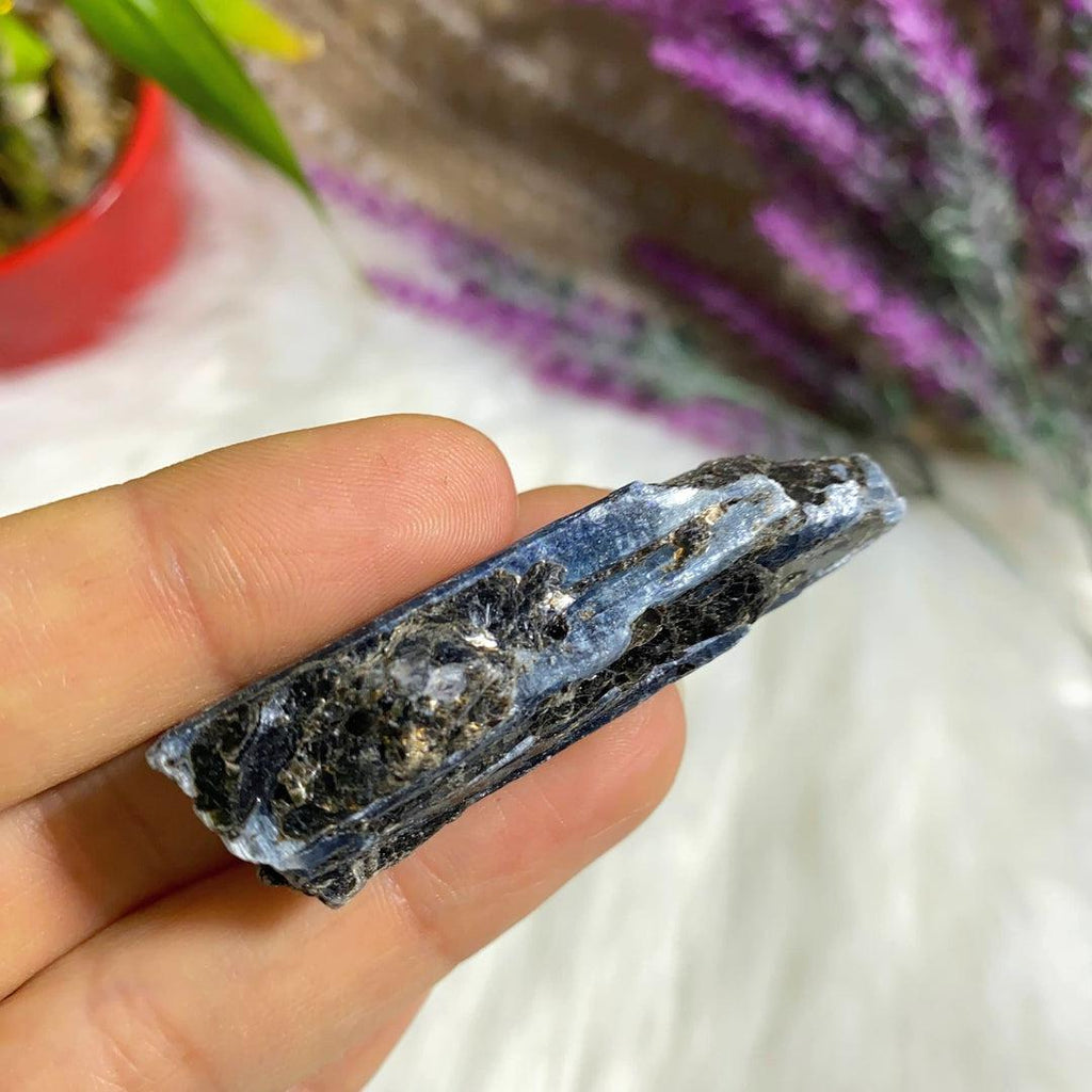 High Grade Gemmy Blue Kyanite Natural Point ~Locality Zimbabwe #2 - Earth Family Crystals