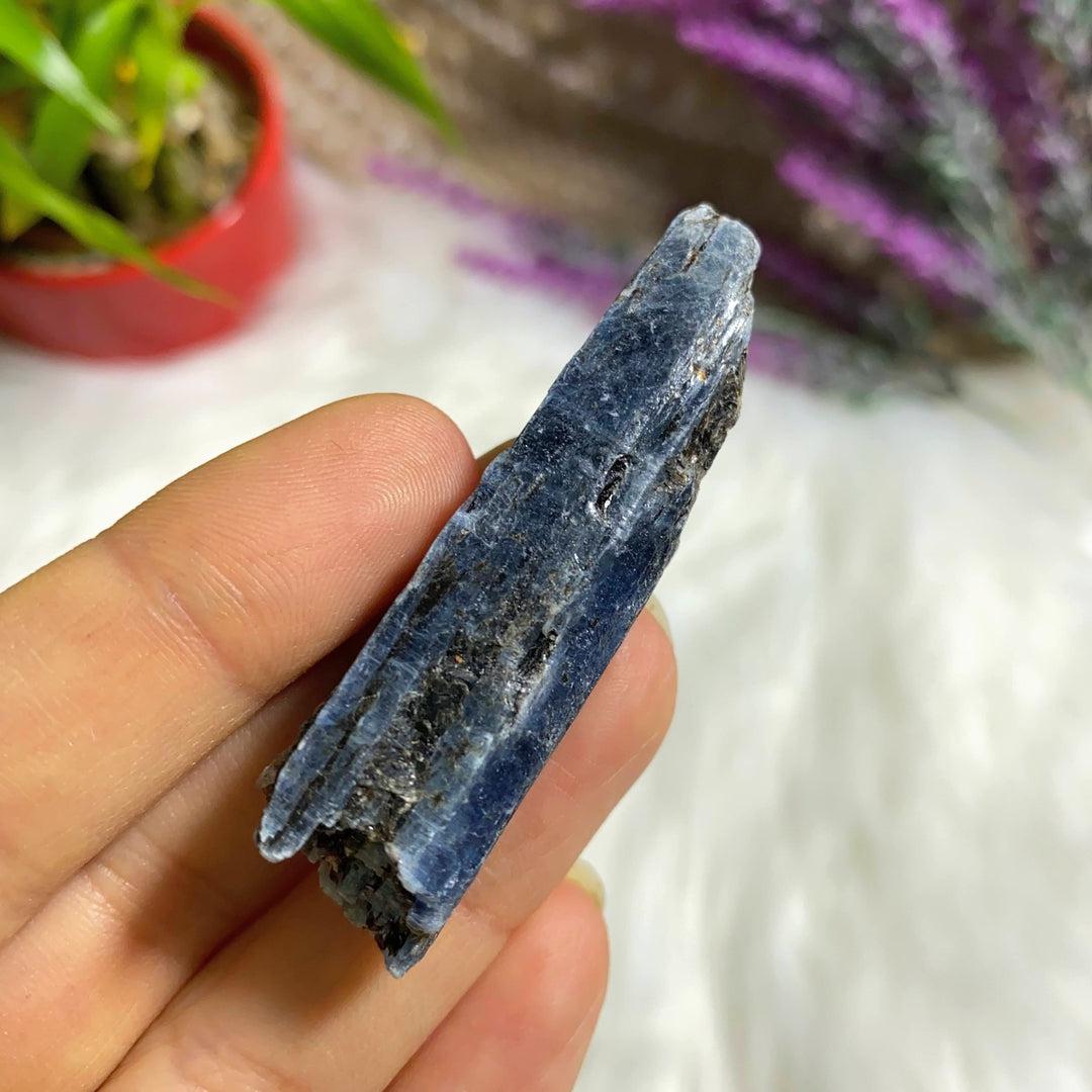 High Grade Gemmy Blue Kyanite Natural Point ~Locality Zimbabwe #2 - Earth Family Crystals