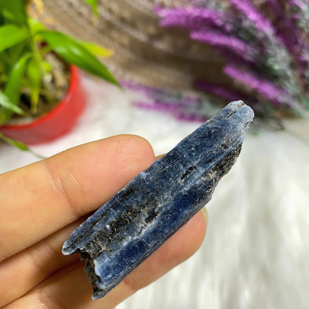 High Grade Gemmy Blue Kyanite Natural Point ~Locality Zimbabwe #2 - Earth Family Crystals