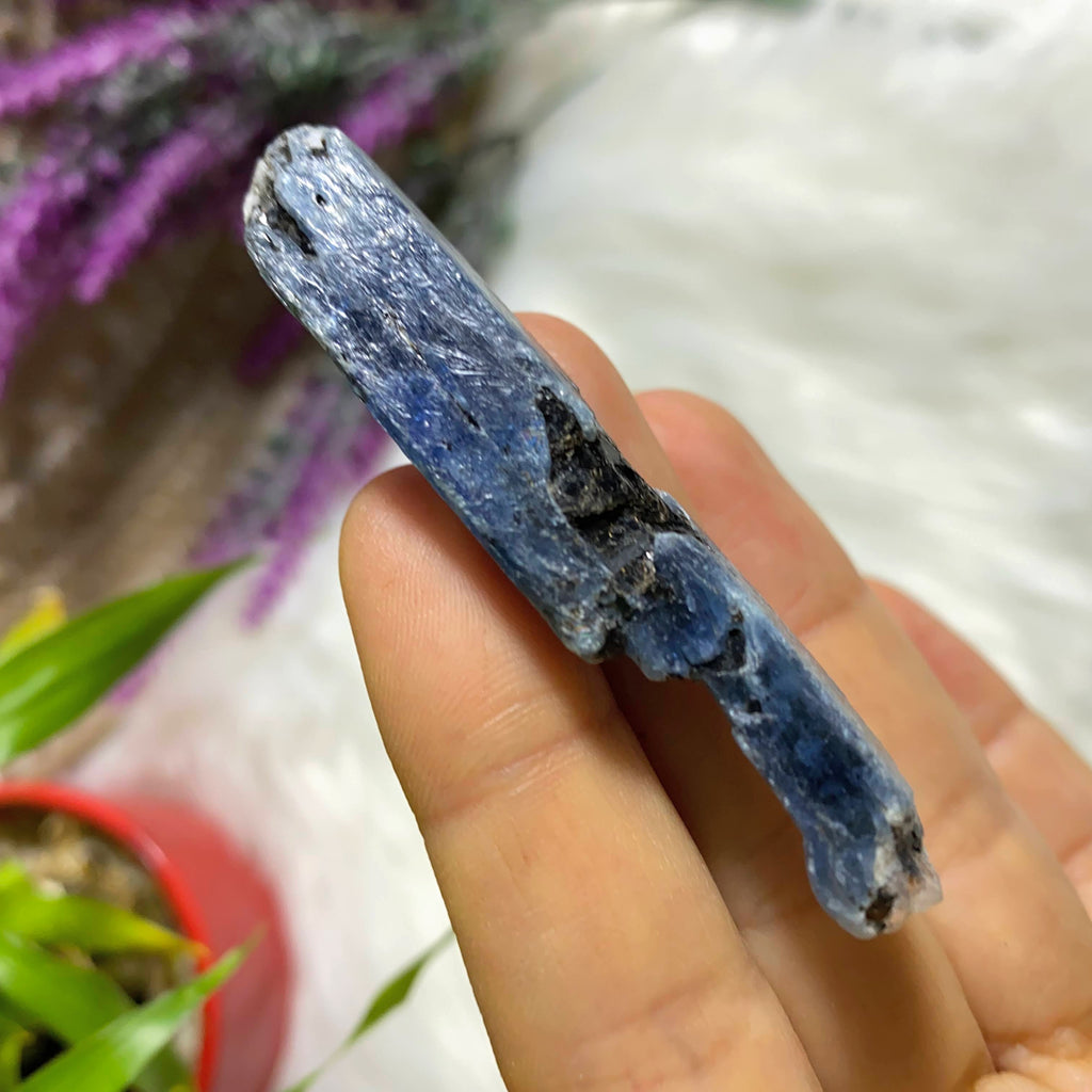 High Grade Gemmy Blue Kyanite Natural Point ~Locality Zimbabwe #1 - Earth Family Crystals
