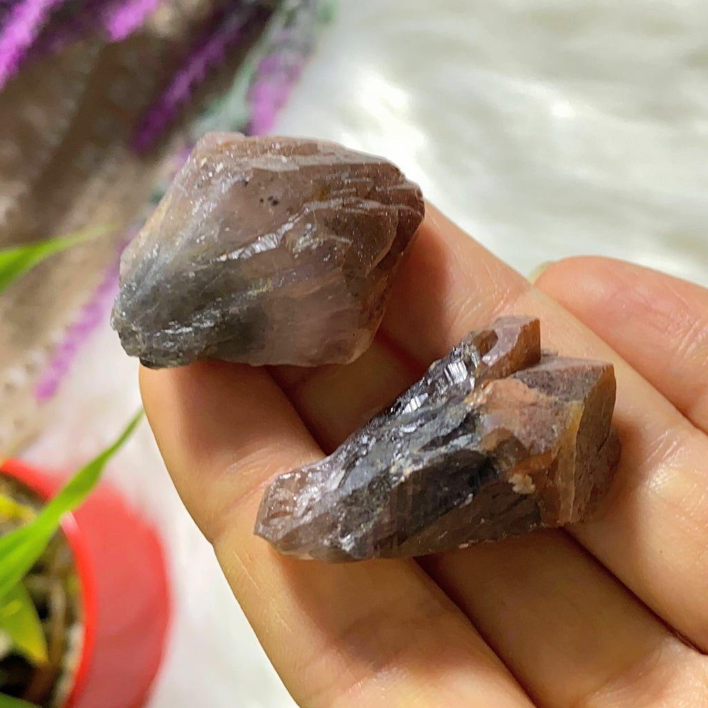 Set of 2 ~ Natural Genuine Red Amethyst Points From Brazil - Earth Family Crystals