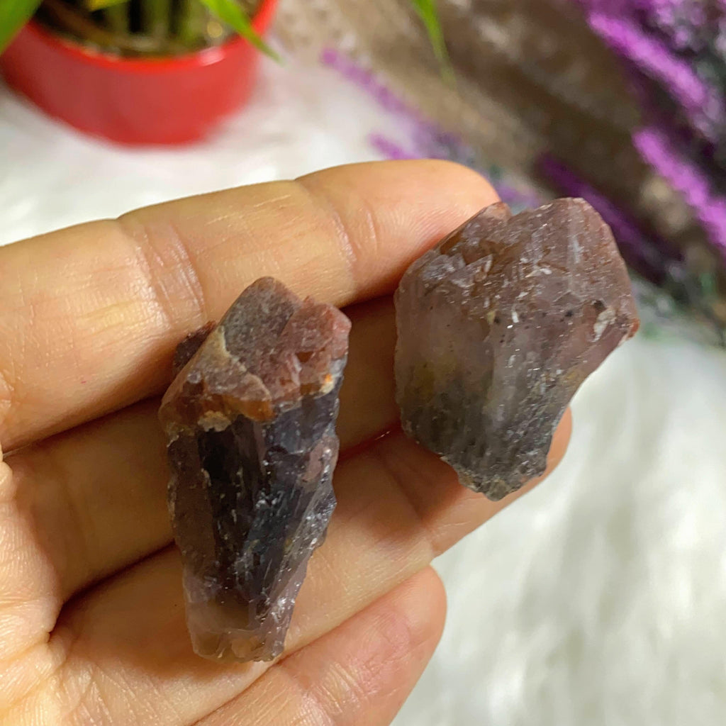 Set of 2 ~ Natural Genuine Red Amethyst Points From Brazil - Earth Family Crystals