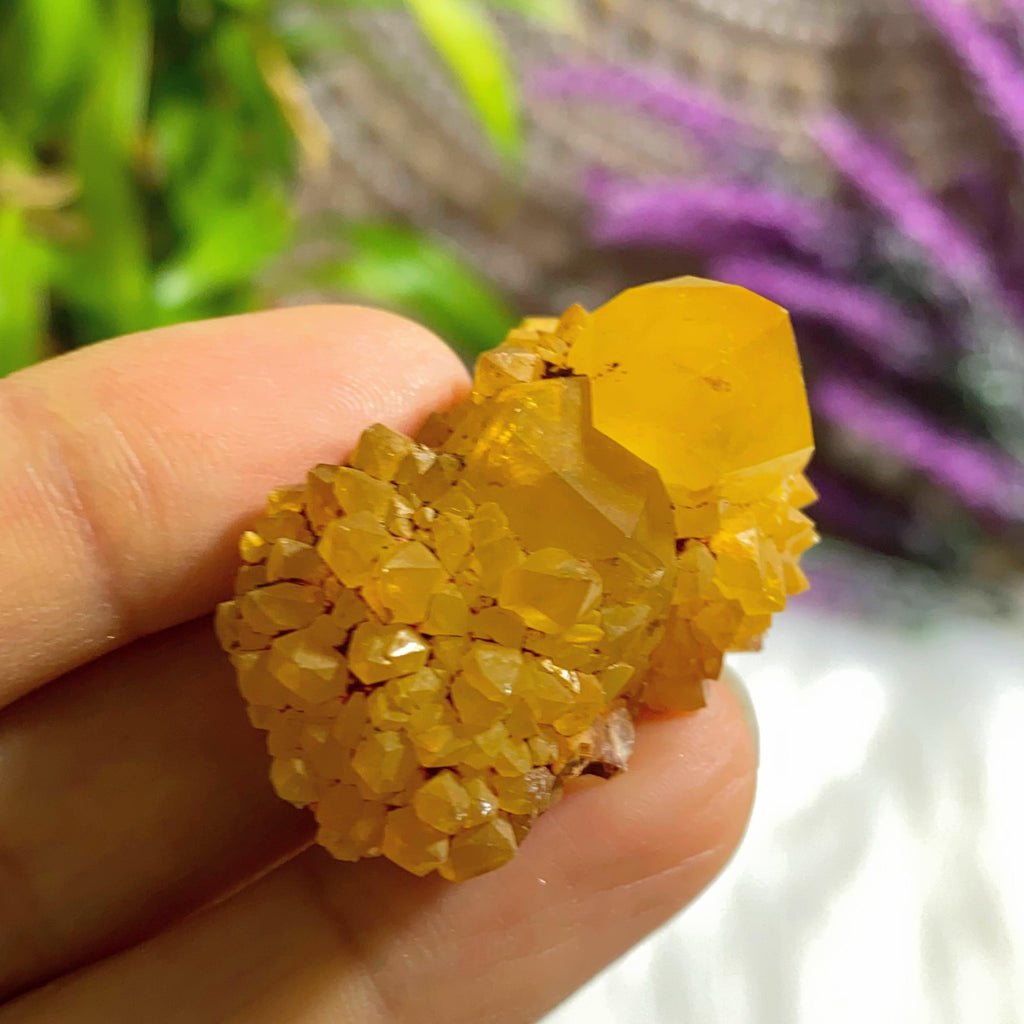 Natural Citrine Spirit Quartz Cluster from S.Africa - Earth Family Crystals