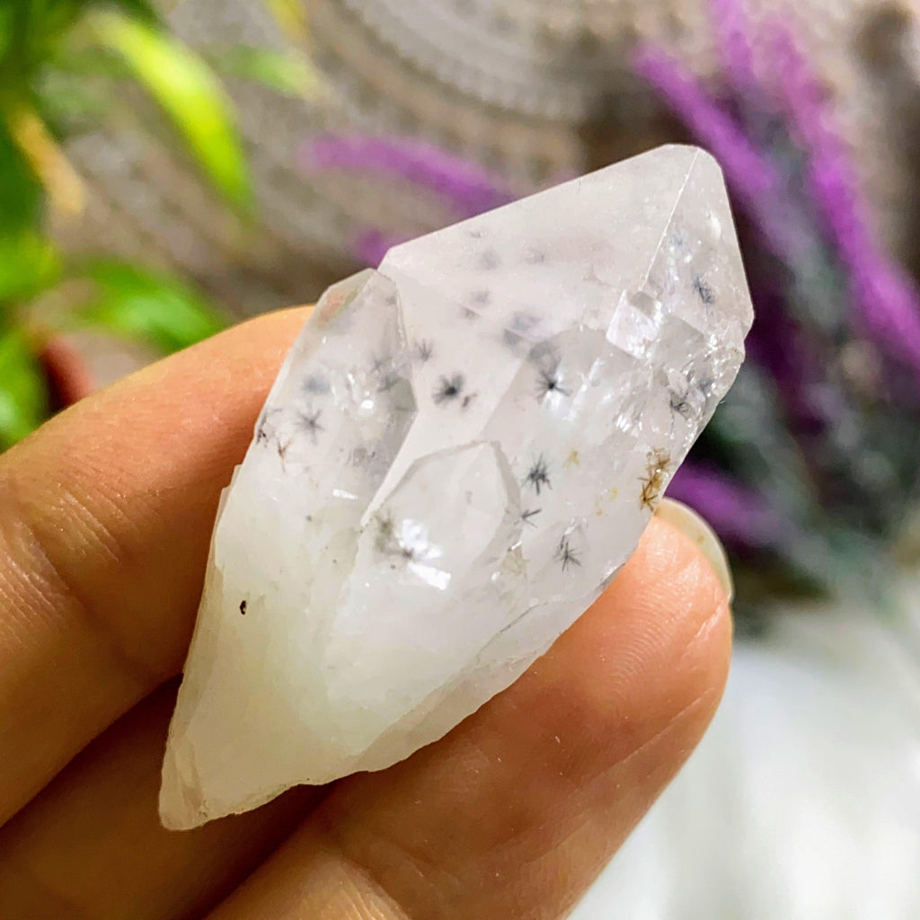 Very Rare! Star Hollandite Clear Quartz Elestial Dainty Point With Phantom From Madagascar - Earth Family Crystals