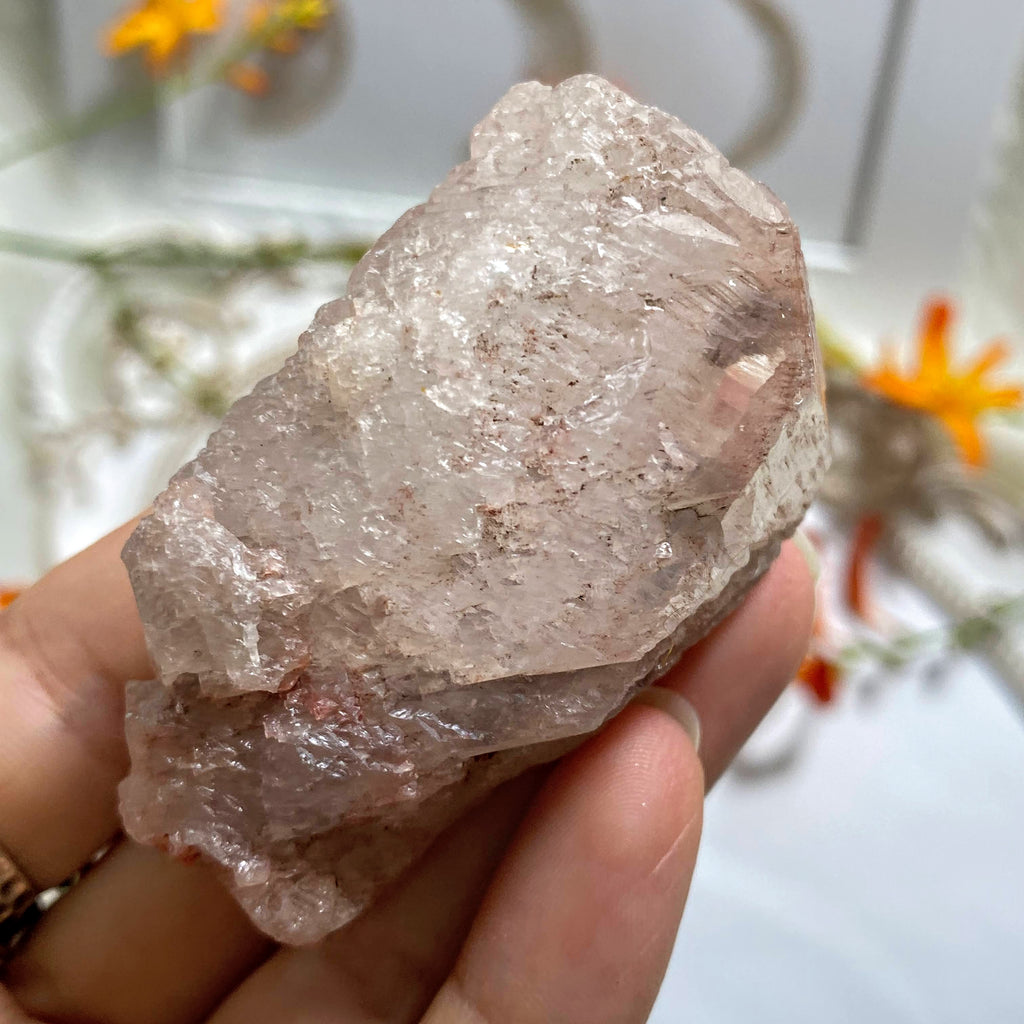 Record Keepers Galore! Pink Nirvana Ice Quartz Large Point from The Himalayas #5 - Earth Family Crystals