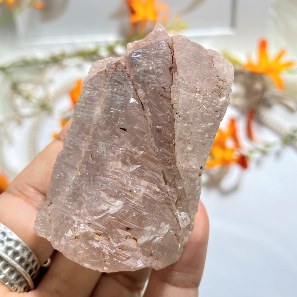 Record Keepers Galore! Pink Nirvana Ice Quartz Large Point from The Himalayas #5 - Earth Family Crystals
