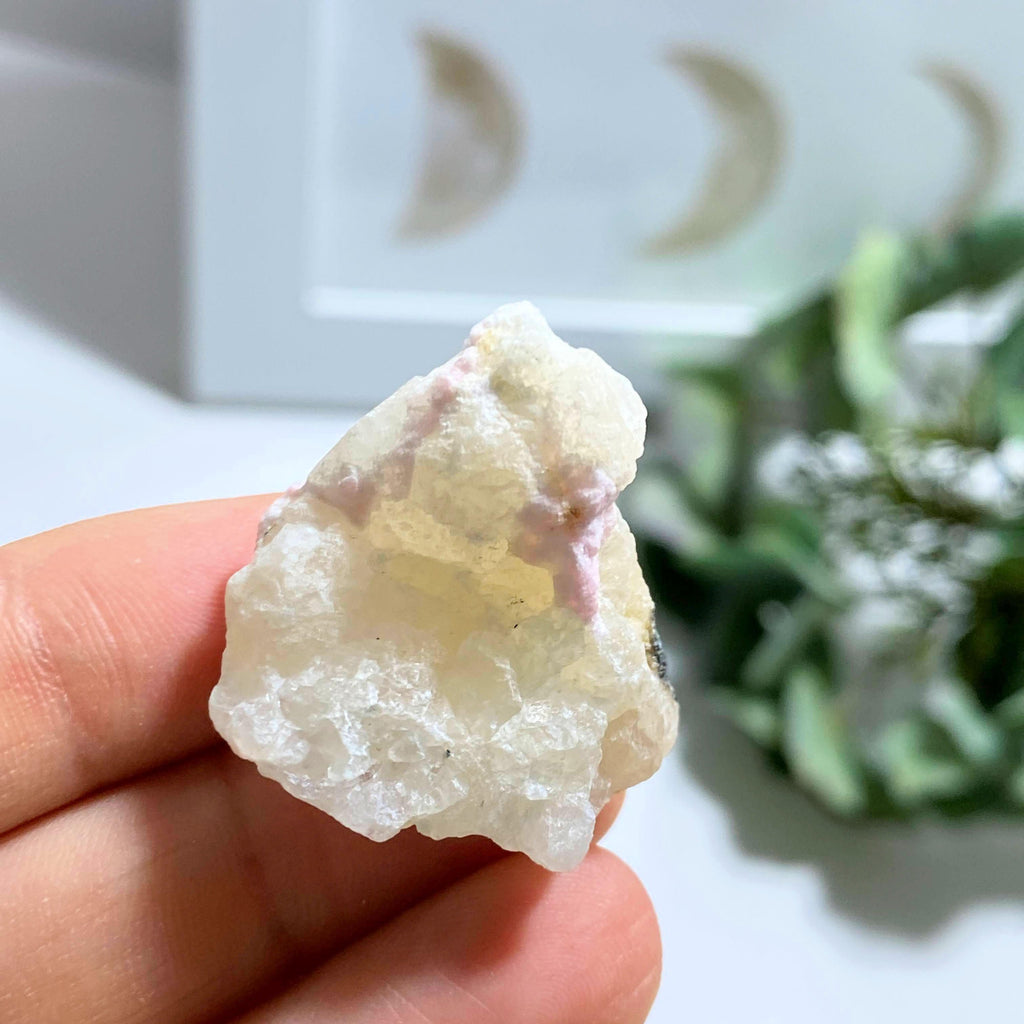 Tugtupite & White Natrolite Rare Collectors Specimen From Greenland - Earth Family Crystals