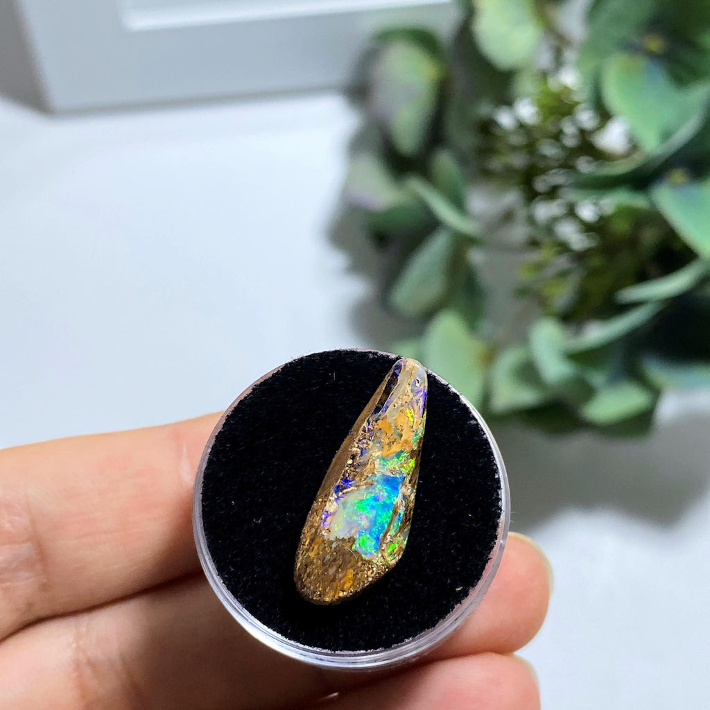 4.5 Carat Multi Flash Australian Lightning Ridge Boulder Opal In Collectors Box - Earth Family Crystals