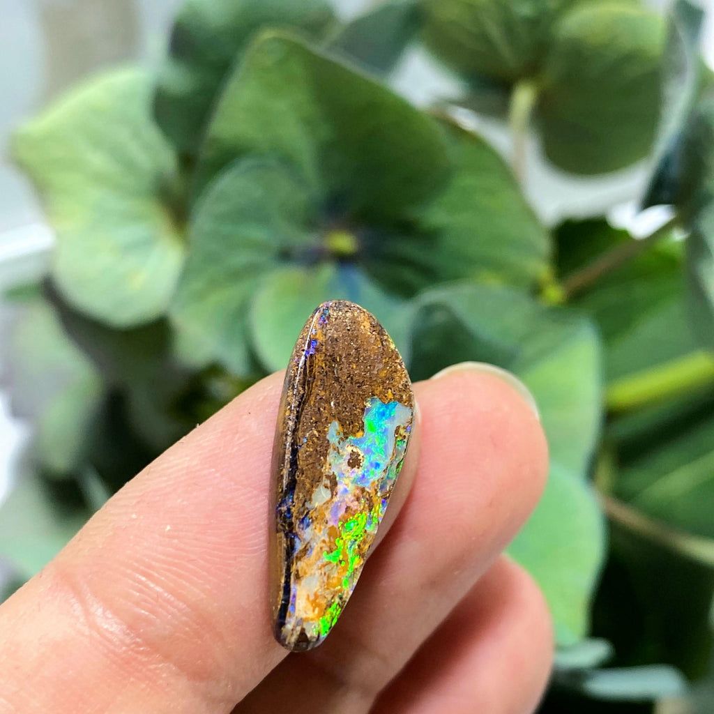 4.5 Carat Multi Flash Australian Lightning Ridge Boulder Opal In Collectors Box - Earth Family Crystals