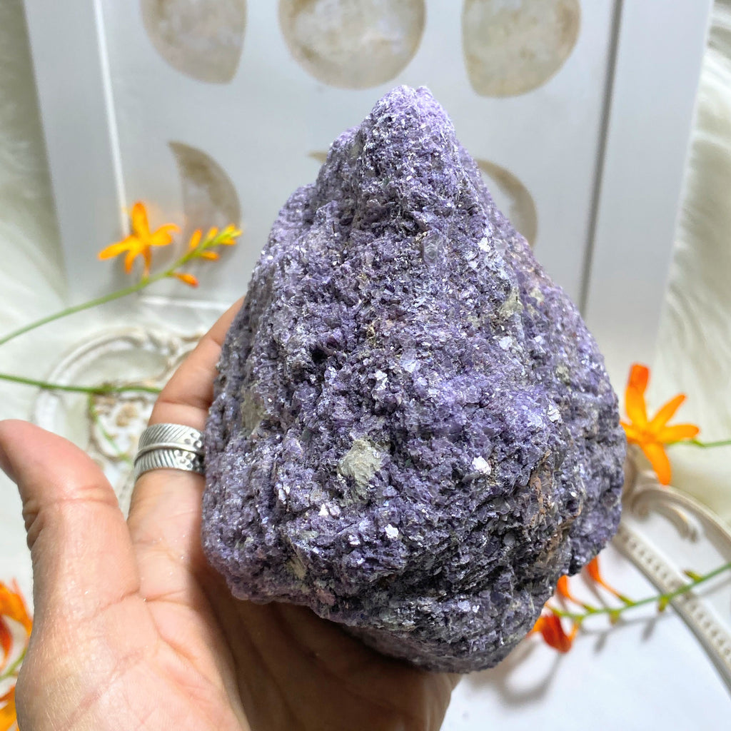 Reserved for Sandy S Incredible Violet 2LB XL Lepidolite & Pink Tourmaline Natural Raw Specimen From Oceanside Mine, California - Earth Family Crystals