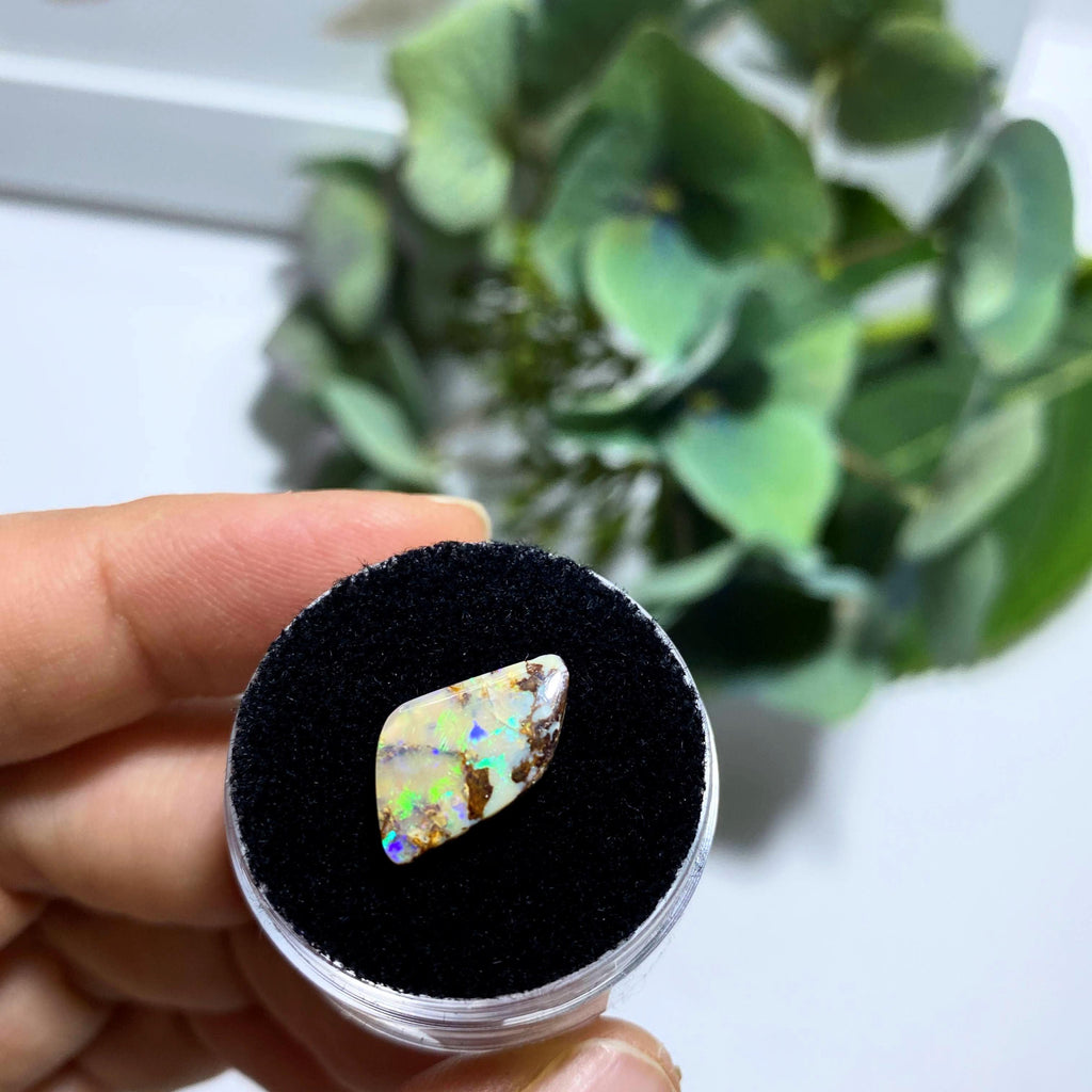 2.5 Carat Australian Lightning Ridge Boulder Opal In Collectors Box - Earth Family Crystals