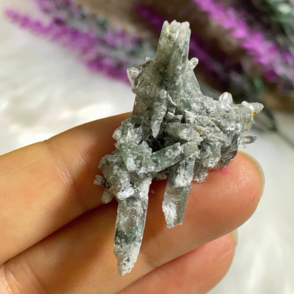 Rare Green Samadhi Quartz Dainty Cluster ~Locality: Himalayas #6 - Earth Family Crystals