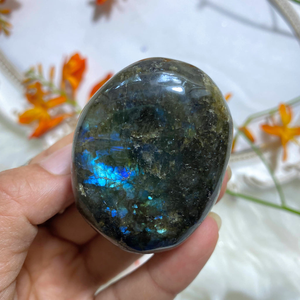 Blue Flashes Labradorite Palm Stone - Earth Family Crystals