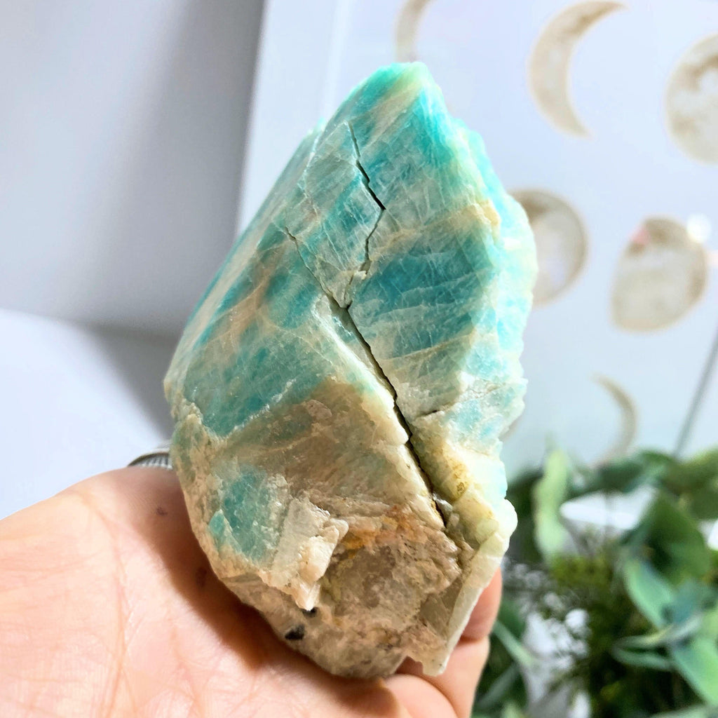 Famous Colorado Locality~Chunky Raw Amazonite Specimen *REDUCED* - Earth Family Crystals