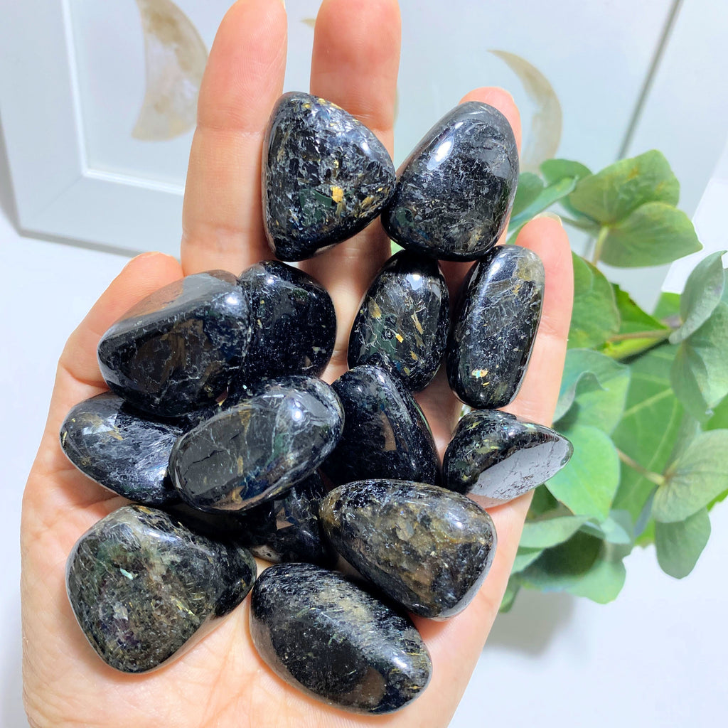 One Rare & Authentic Nuummite Polished Stone~Locality Greenland - Earth Family Crystals