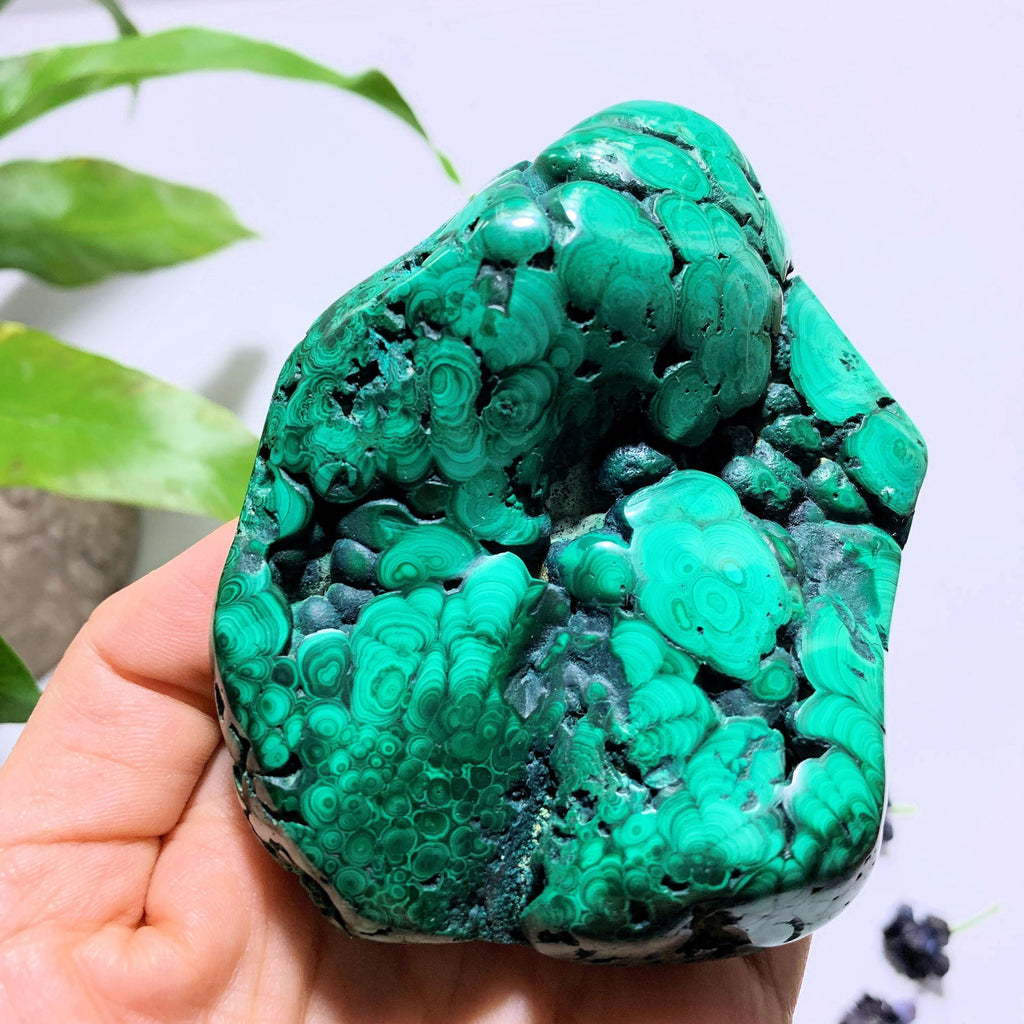 Incredible Green Malachite Large Partially Polished Specimen~Locality Congo - Earth Family Crystals